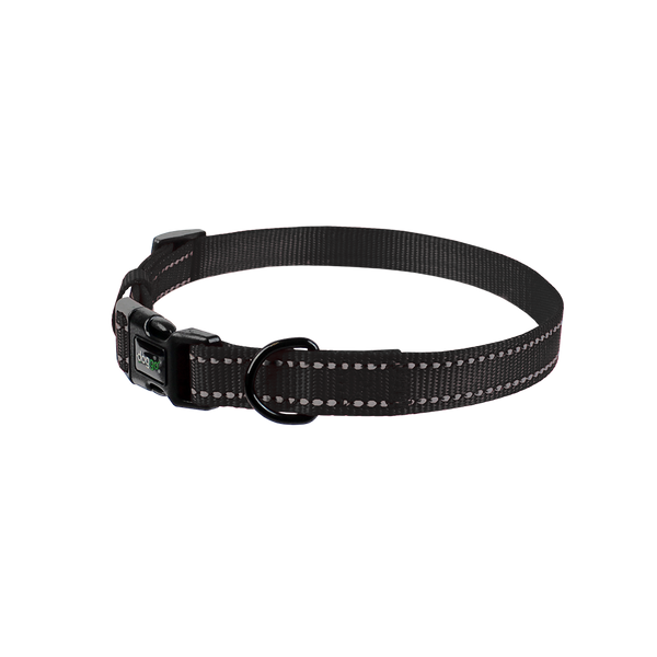 Everyday Nylon Collar