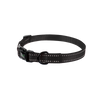 Everyday Nylon Collar