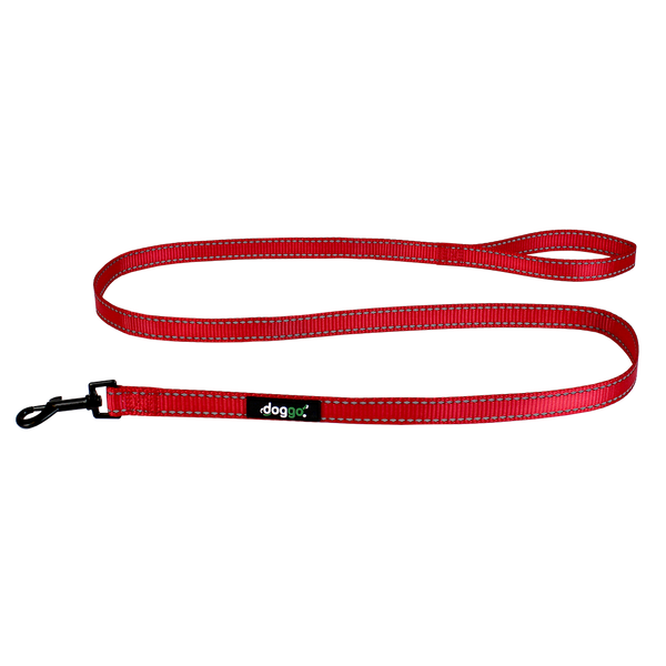 Everyday Nylon Leash
