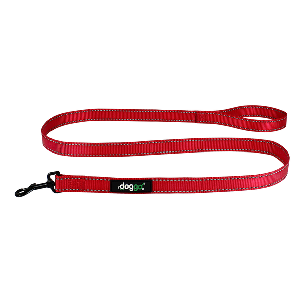 Everyday Nylon Leash