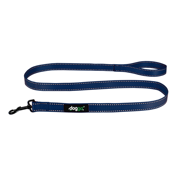 Everyday Nylon Leash
