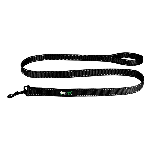 Everyday Nylon Leash