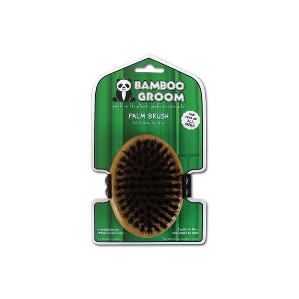 Palm Brush with Boar Bristles