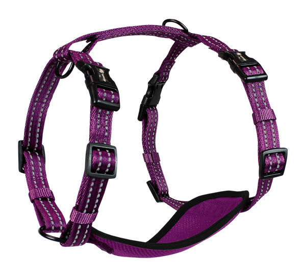Adventure Harnesses