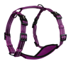 Adventure Harnesses