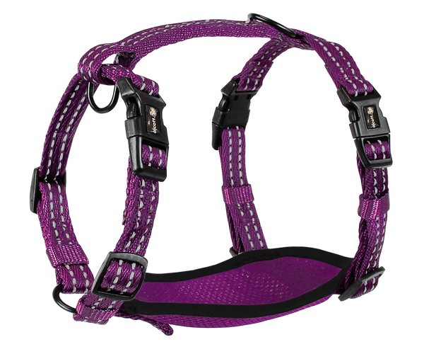 Adventure Harnesses