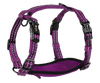 Adventure Harnesses