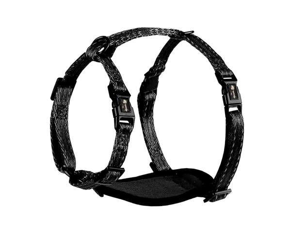 Adventure Harnesses