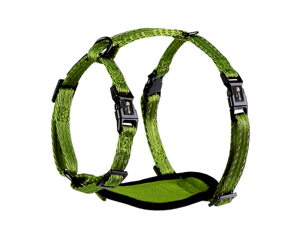 Adventure Harnesses