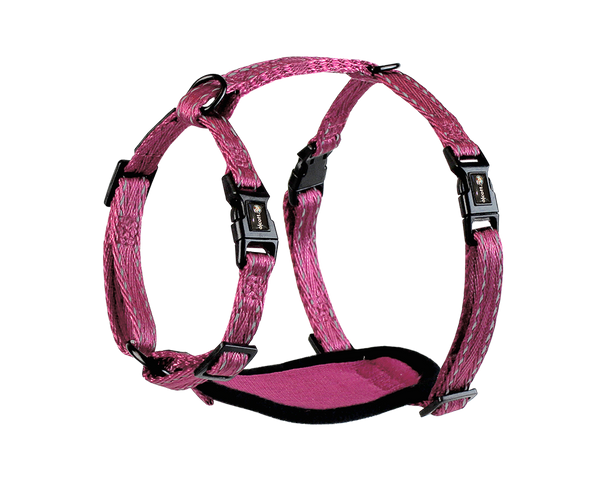 Adventure Harnesses