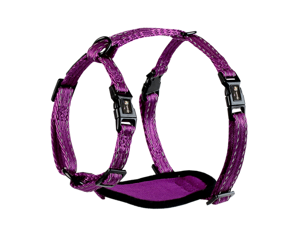 Adventure Harnesses