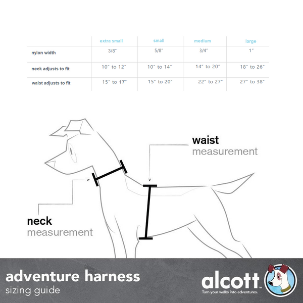 Adventure Harnesses