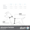 Adventure Harnesses