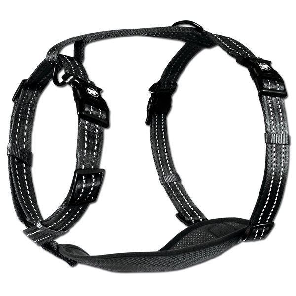 Adventure Harnesses