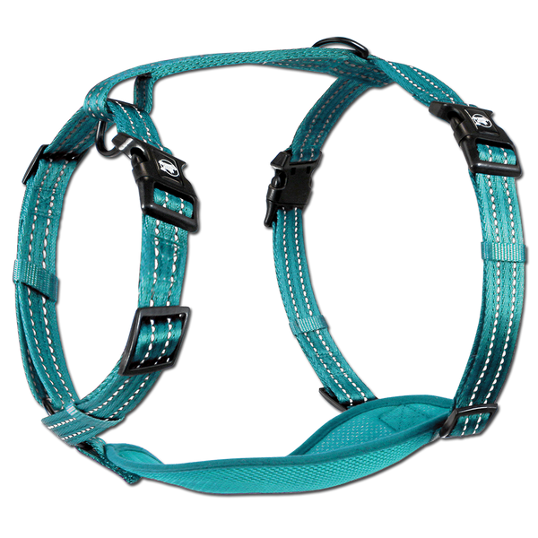 Adventure Harnesses