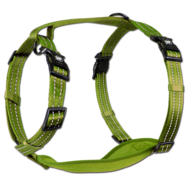 Adventure Harnesses