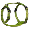 Adventure Harnesses