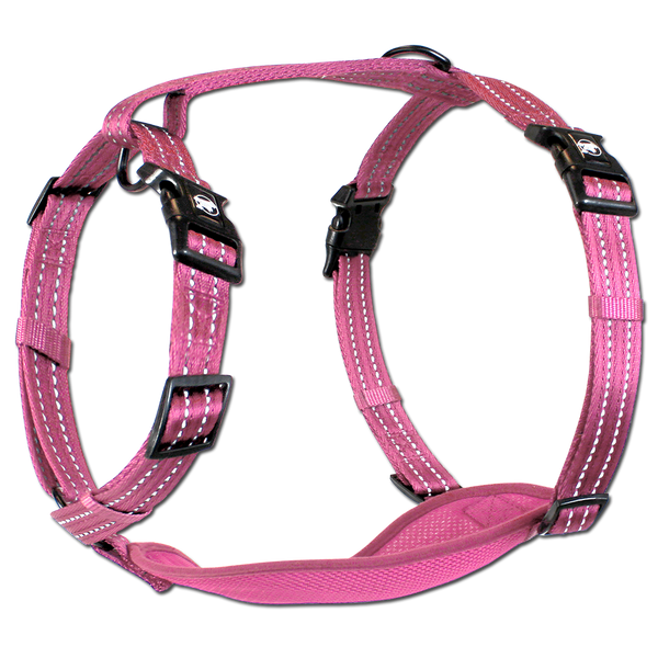 Adventure Harnesses