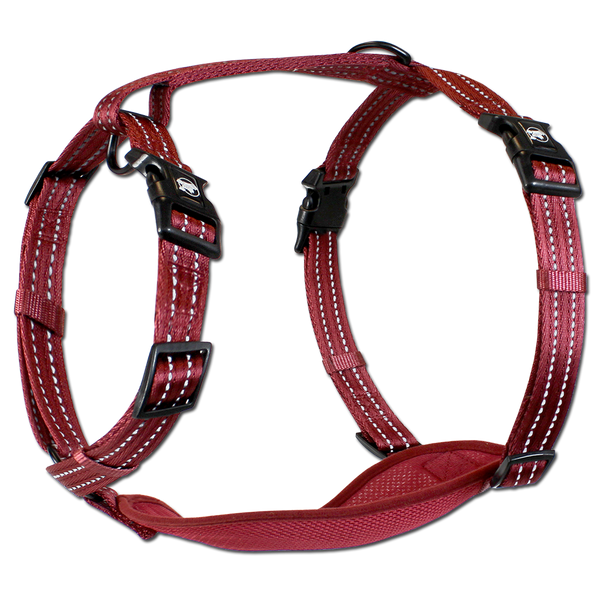 Adventure Harnesses