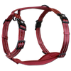 Adventure Harnesses