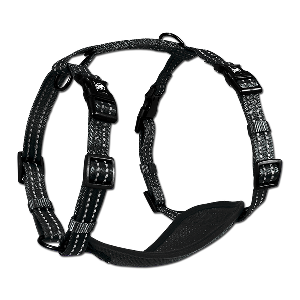 Adventure Harnesses