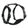 Adventure Harnesses