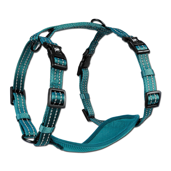 Adventure Harnesses