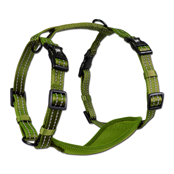 Adventure Harnesses