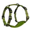 Adventure Harnesses