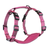 Adventure Harnesses