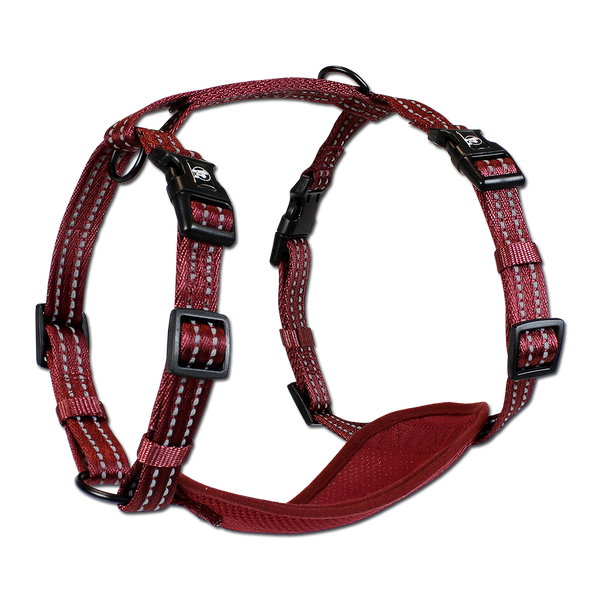 Adventure Harnesses