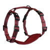 Adventure Harnesses