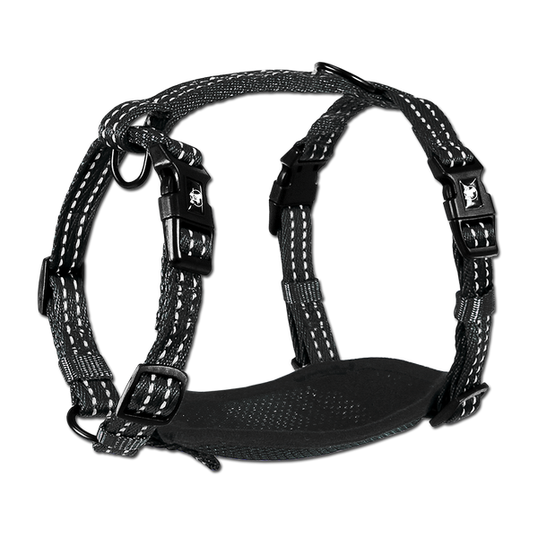 Adventure Harnesses