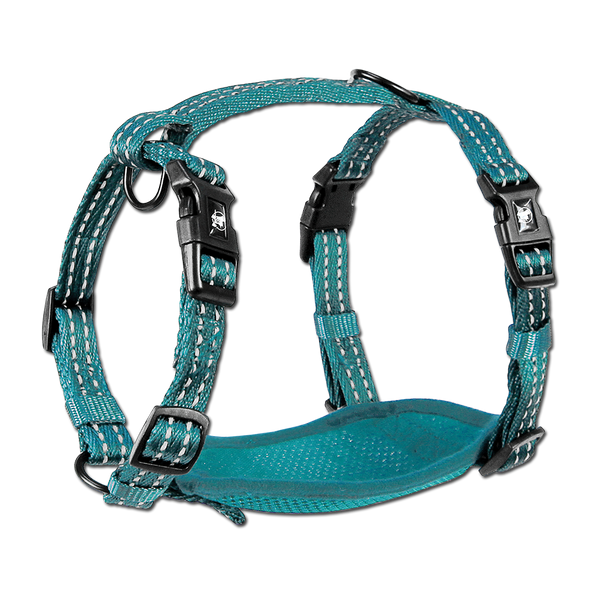 Adventure Harnesses