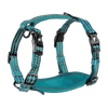 Adventure Harnesses