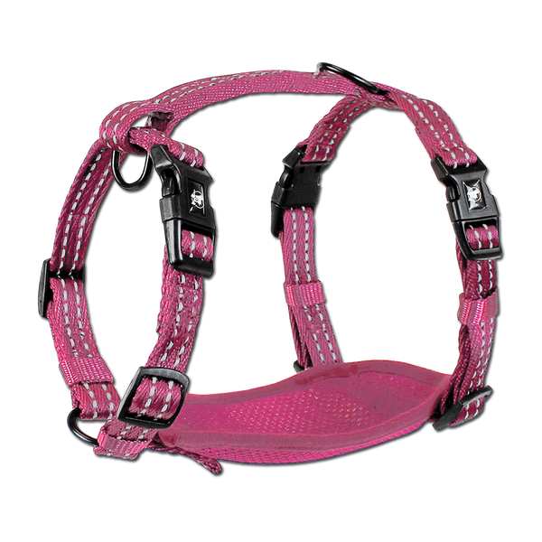 Adventure Harnesses