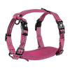 Adventure Harnesses