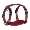 Adventure Harnesses